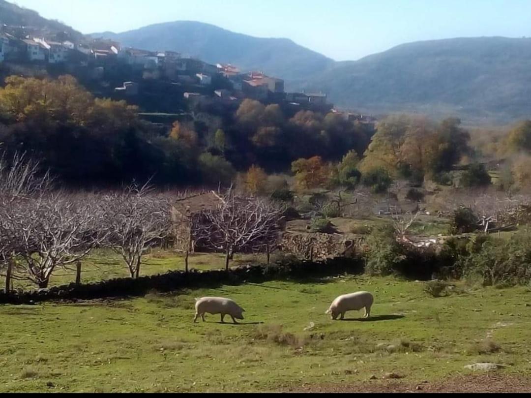 El Nido, Casa Rural Casas del Castañar Kültér fotó