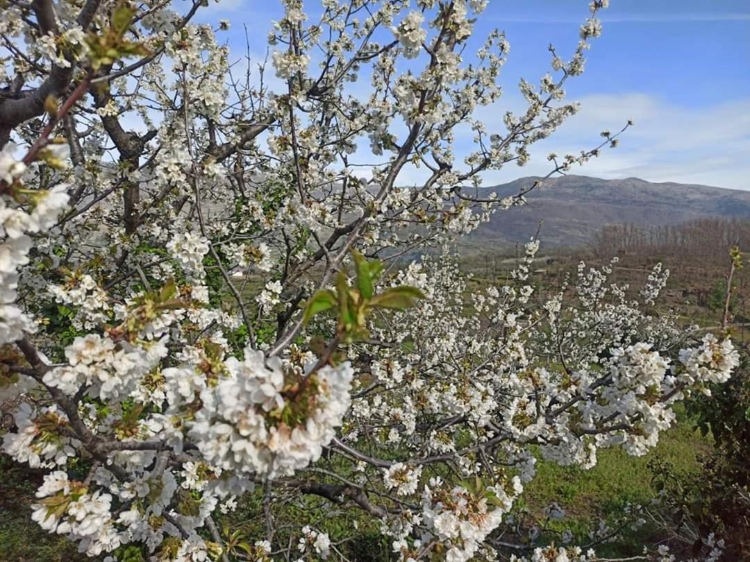 El Nido, Casa Rural Casas del Castañar Kültér fotó